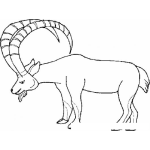 Dibujo para colorear Dibujo De Cabro De Cuernos Grandes Para Pintar Y Colorear