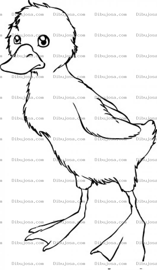 Dibujo para colorear Dibujo De Patito Triste Para Pintar Y Colorear De Amarillo Huevo