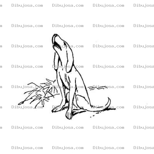 Dibujo para colorear Dibujo De Perro Aullando Para Pintar Y Colorear Auuuuuuuu