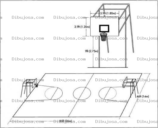 Dibujo para colorear Medidas De Una Cancha De Basketball En Dibujo Para Pintar Y Colorear