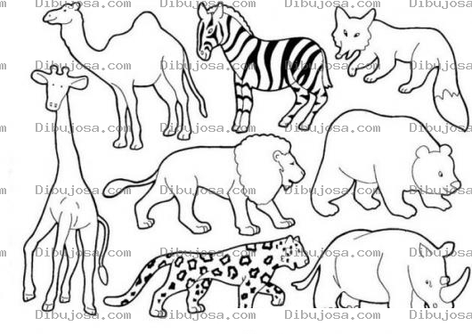 Dibujo para colorear Animalitos Del Zoologico Para Pintar Y Colorear Jirafa Camello Cebra Leon Leopardo Oso Zorro Y Rinoceronte