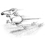 Dibujo para colorear La Carrera De La Rata Para Pintar Y Colorear