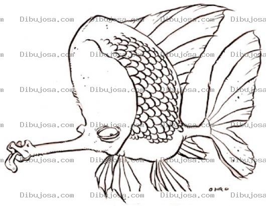 Dibujo para colorear Pez Deforme Frentudo Y Trompudo Para Pintar Y Colorear