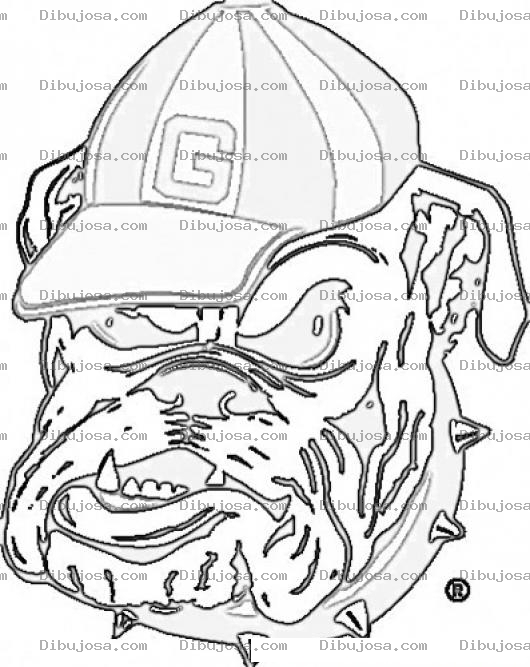 Dibujo para colorear Bull Dog Con Gorra Para Pintar Y Colorear