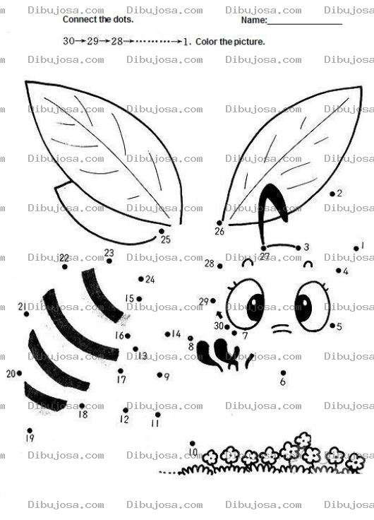 Dibujo para colorear Conecta los treinta puntos para terminar el dibujo