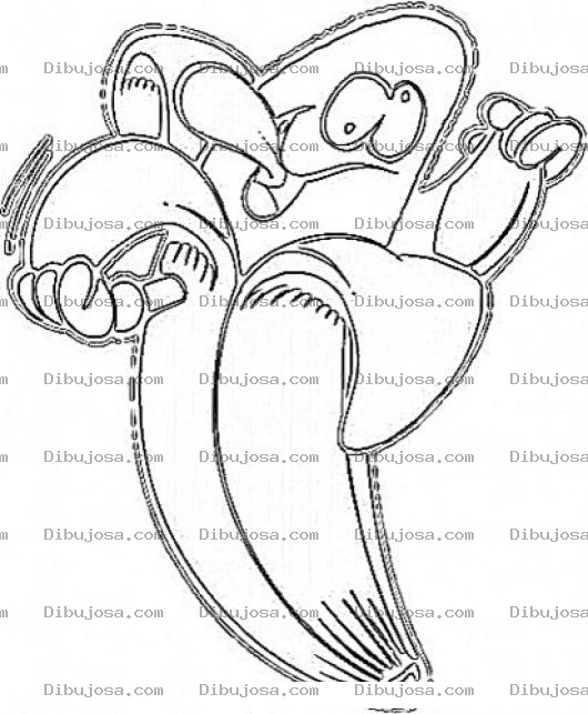 Dibujo para colorear Dibujo De Banano Loco Para Pintar Y Colorear