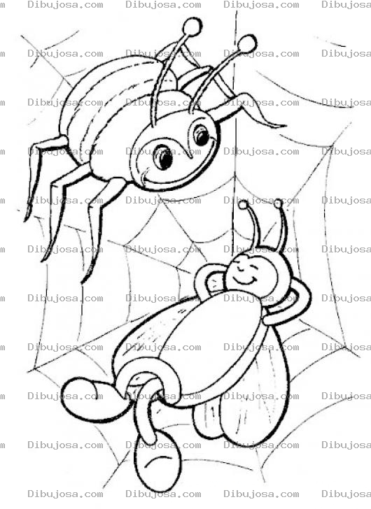 Dibujo para colorear Dibujo De Arana Y Mosca En Una Telarana Para Pintar Y Colorear