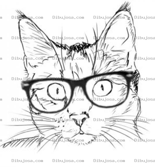 Dibujo para colorear Dibujo De Gato Con Lentes Para Pintar Y Colorear