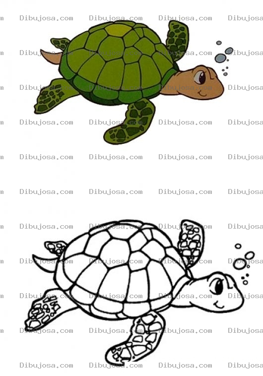 Dibujo para colorear Colorear una tortuga con muestra