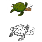 Dibujo para colorear Colorear una tortuga con muestra