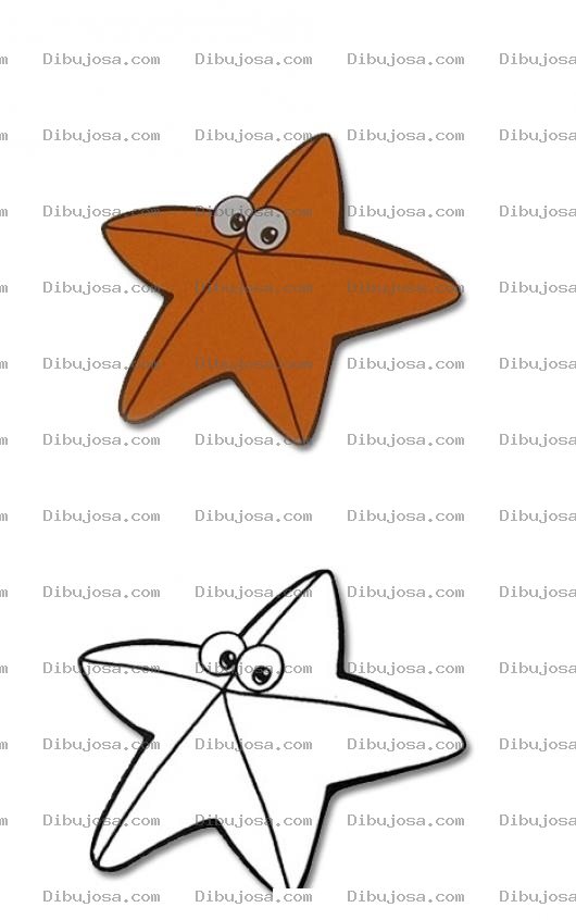 Dibujo para colorear Colorear estrellita de mar con muestra final