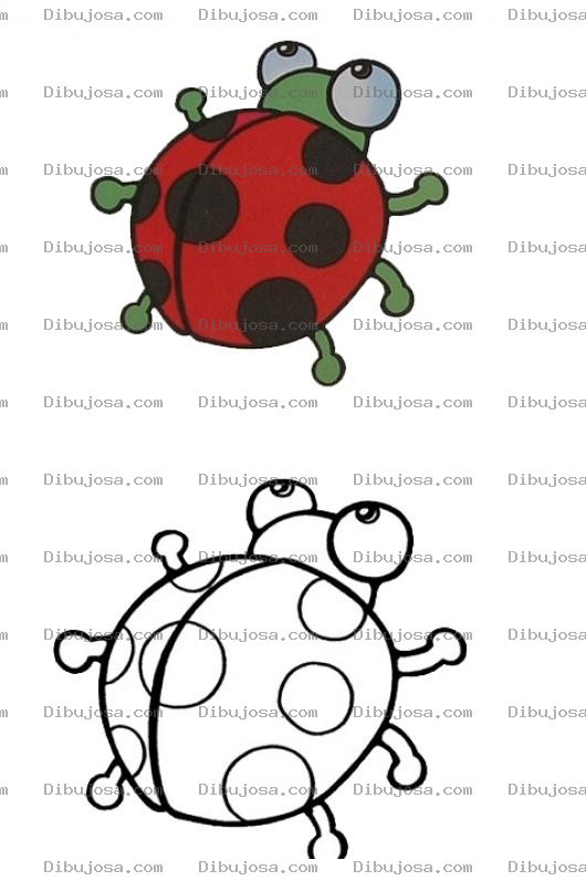 Dibujo para colorear Colorear mariquita con muestra final