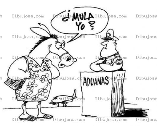 Dibujo para colorear Mula En Aereopuerto Dibujo De Mula En Aduana Para Pintar Y Colorear