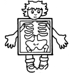 Dibujo para colorear Radiografia De Rayos X Del Cuerpo Humano Para Pintar Y Colorear