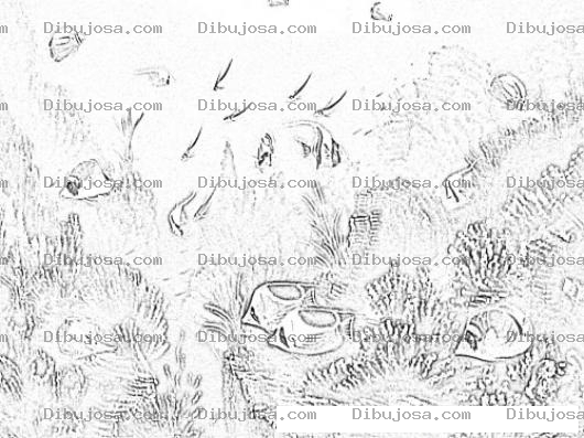 Dibujo para colorear Dibujo De Pescados Y Corales Del Mar Para Pintar Y Colorear