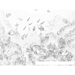 Dibujo para colorear Dibujo De Pescados Y Corales Del Mar Para Pintar Y Colorear