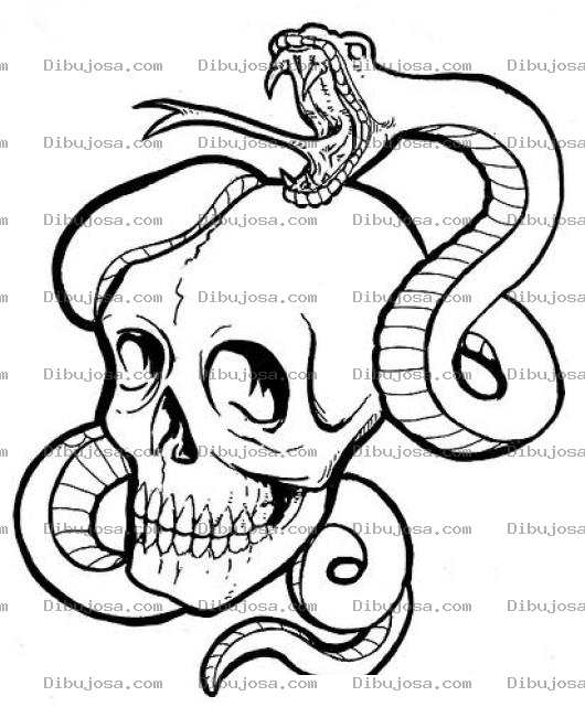 Dibujo para colorear Dibujo De Un Craneo Con Una Culebra Serpiente Para Pintar Y Colorear