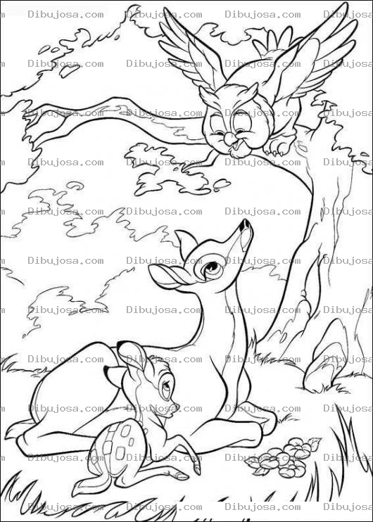 Dibujo para colorear Bambi y el buho