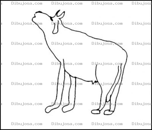 Dibujo para colorear Dibujo De Vaca Entelerida Para Pintar Y Colorear