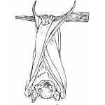 Dibujo para colorear Dibujo De Murcielago Colgado De Una Rama Para Pintar Y Colorear