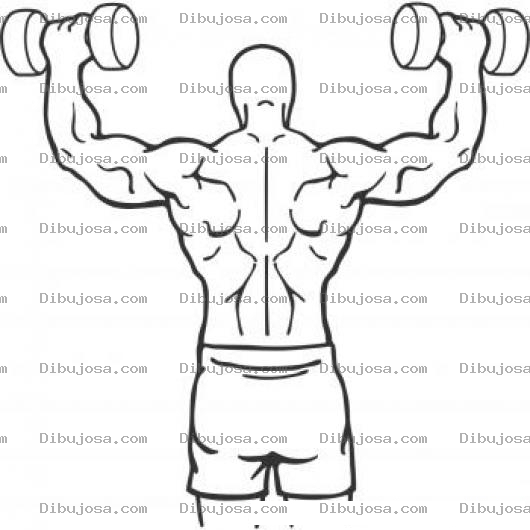 Dibujo para colorear Musculos De La Espalda Dibujo De Espalda De Hombre Musculoso Y Atletico Para Pintar Y Colorear Atleta Haciendo Ejercicios De Hombro Con Press Militar