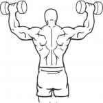 Dibujo para colorear Musculos De La Espalda Dibujo De Espalda De Hombre Musculoso Y Atletico Para Pintar Y Colorear Atleta Haciendo Ejercicios De Hombro Con Press Militar