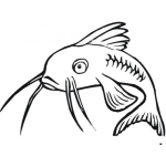 Dibujo para colorear Dibujo De Bagre Pez Gato Para Pintar Y Colorear