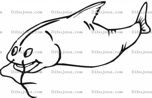Dibujo para colorear Bagre Panzon Para Pintar Y Colorear