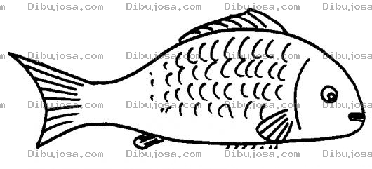 Dibujo para colorear Pescado Con Escamas Para Pintar Y Colorear