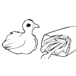 Dibujo para colorear Pollo Con Papas Fritas Para Pintar Y Colorear