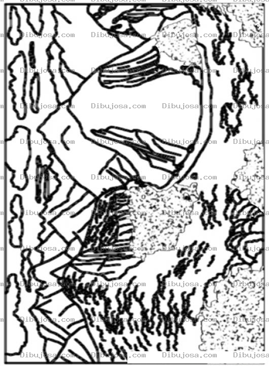 Dibujo para colorear Colorear Machu Pichu Peru
