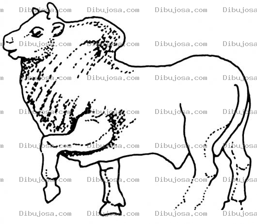 Dibujo para colorear Dibujo De Toro Para Pintar Y Colorear