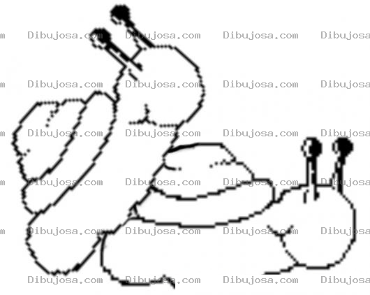 Dibujo para colorear Dibujo De Caracoles Copulando Para Pintar Y Colorear