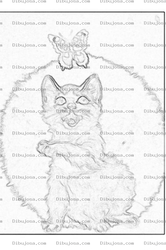 Dibujo para colorear Colorear Gatito Con Mariposa