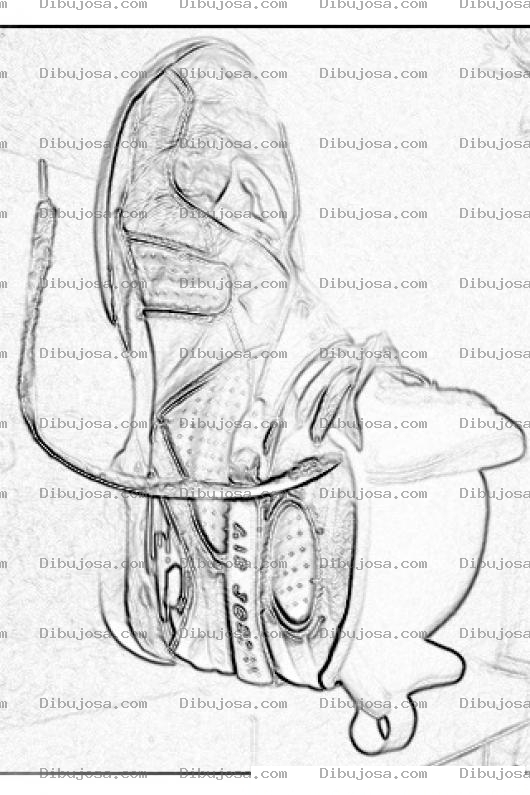 Dibujo para colorear Colorear Tennis De Basketball Air Jordan