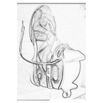 Dibujo para colorear Colorear Tennis De Basketball Air Jordan