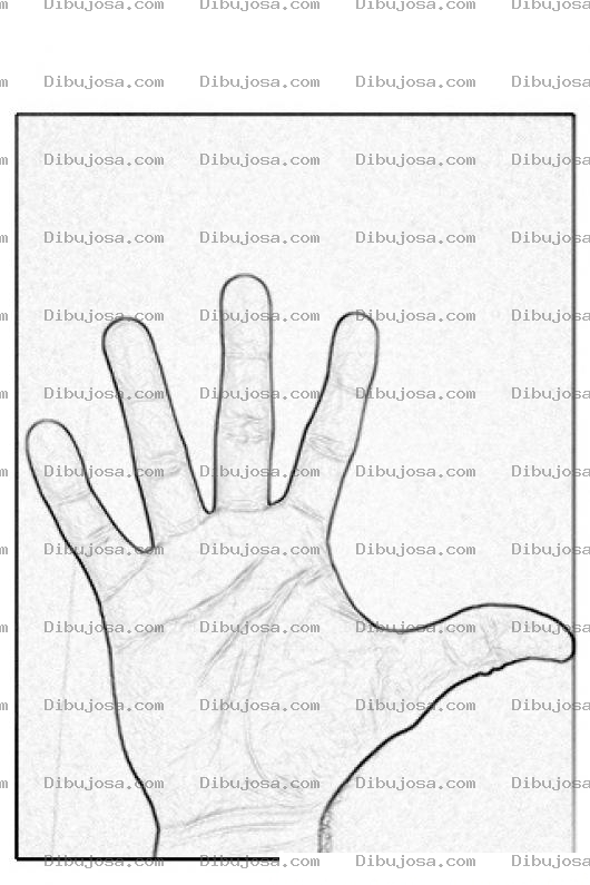 Dibujo para colorear Dibujo De Una Mano Extendida Para Colorear Con Lineas De La Mano