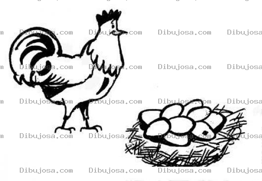 Dibujo para colorear Dibujo De Gallina Con Huevos Para Pintar Y Colorear