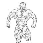Dibujo para colorear Dibujo Del Fisiculturista Nasser El Sombaty Para Pintar Y Colorear A Naser El Sonbaty