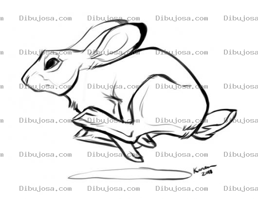 Dibujo para colorear Echohuevo Dibujo De Conejo Echo Pistola Corriendo A Toda Velocidad Para Pintar Y Colorear
