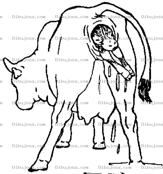 Dibujo para colorear Parto De Vaca Dibujo De Una Vaca Pariendo Para Pintar Y Colorear El Nacimiento De Un Chivito