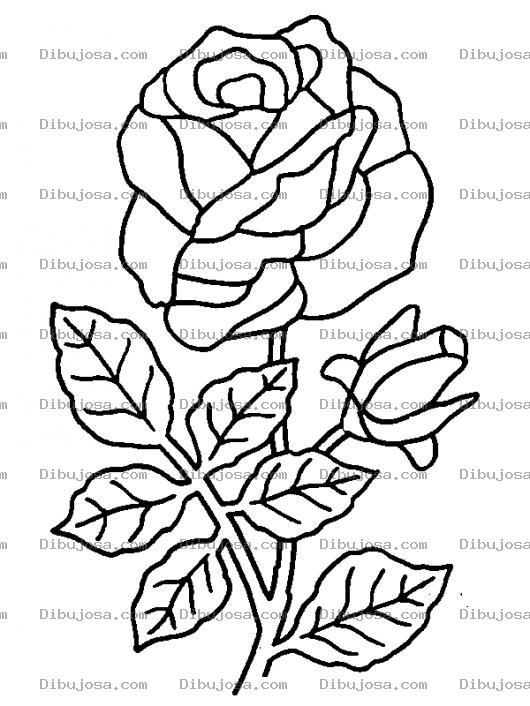 Dibujo para colorear Dibujo De Una Rosa Con Un Capuyo Para Pintar Y Colorear