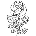 Dibujo para colorear Dibujo De Una Rosa Con Un Capuyo Para Pintar Y Colorear