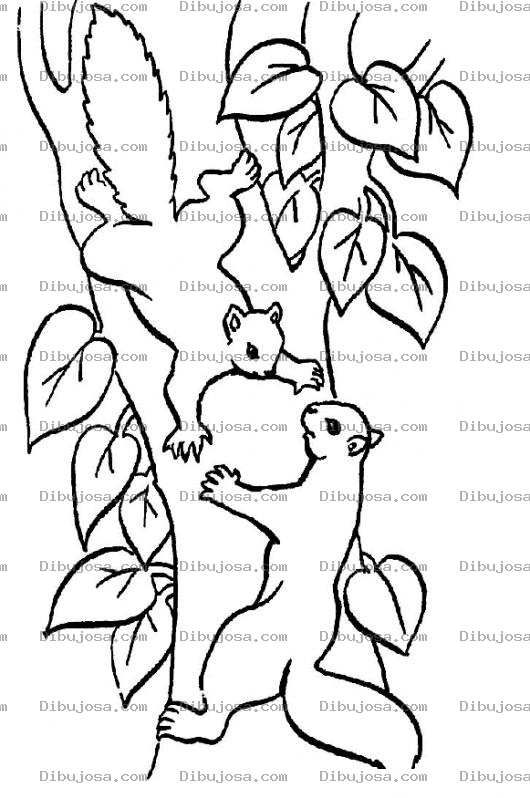 Dibujo para colorear Dibujo De Dos Ardillas En Un Arbol Para Pintar Y Colorear