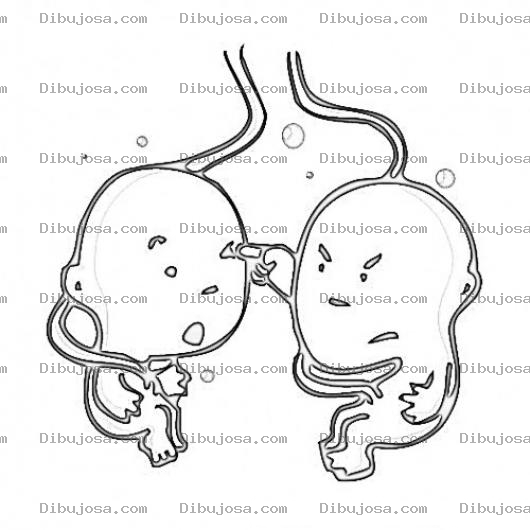 Dibujo para colorear Hermanos Gemelos Peleando Dibujo De Un Bebe Gemelo Malvado Puyando El Ojo De Su Hermano Desde El Vientre Para Pintar Y Colorear
