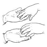 Dibujo para colorear Juego De Manitas Calientes Para Pintar Y Colorear