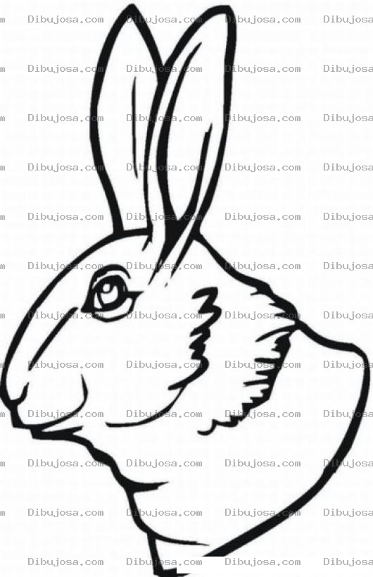 Dibujo para colorear Cabeza De Conejo Para Pintar Y Colorear
