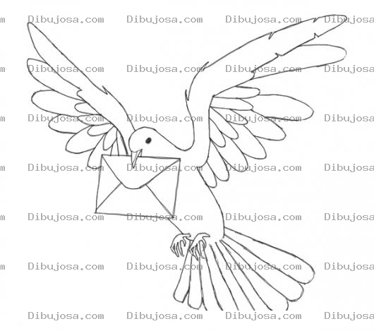 Dibujo para colorear Dibujo De Paloma Mensajera Con Un Sobre En El Pico Para Pintar Y Colorear