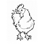 Dibujo para colorear Colorear Gallo