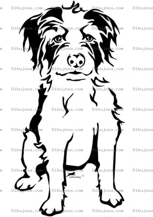 Dibujo para colorear Dibujo De Perrito Peludo Con Pelo Blanco Y Negro Para Pintar Y Colorear